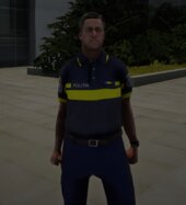 Politia Romana Skin 1